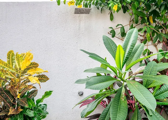 Villa Promo! Bali Rosa Luxury & Cozy 2bedroom In - Dedicated To Digital Nomad *